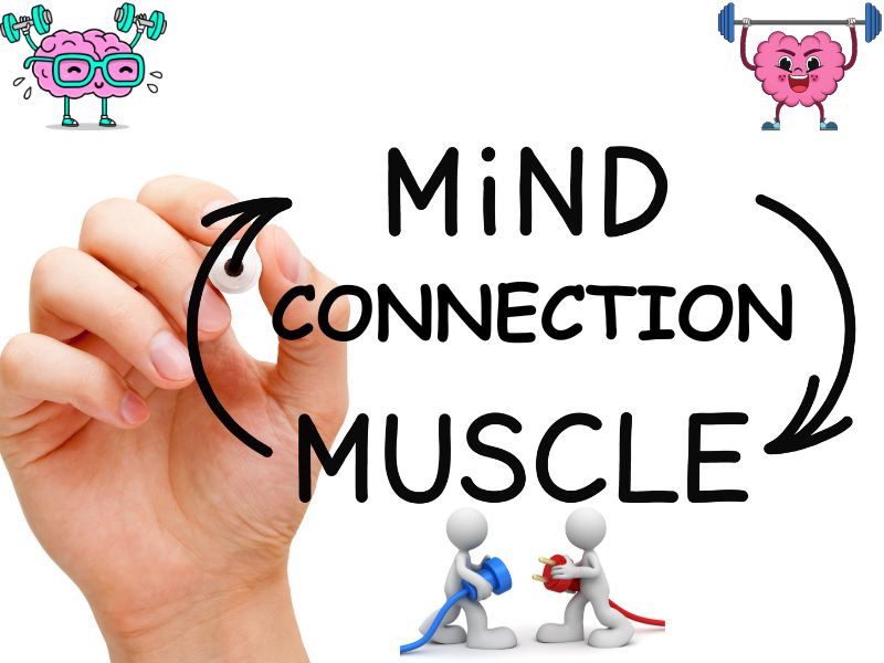 Build More Muscle Through Focus! Mind Muscle Connection