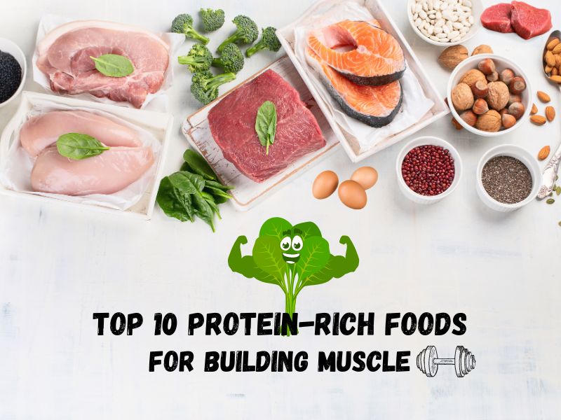 top 10 foods for building muscle