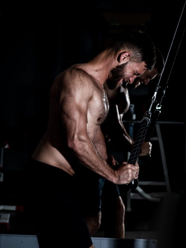 Top 3 Triceps Exercises For Horseshoe Triceps