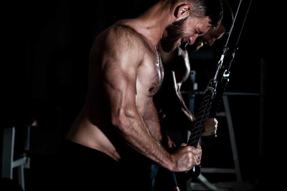 Top 3 Triceps Exercises For Horseshoe Triceps