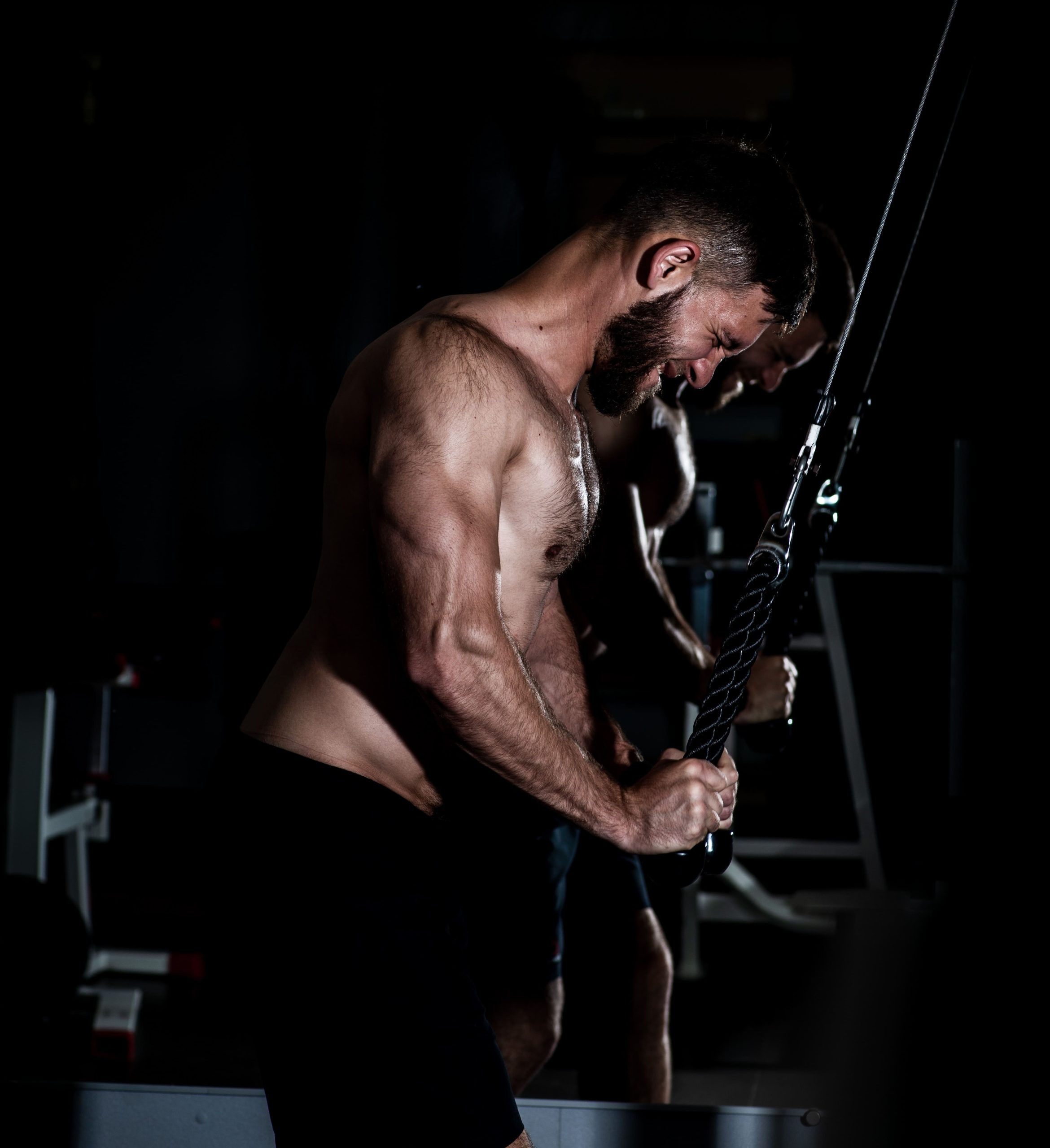 Top 3 Triceps Exercises For Horseshoe Triceps